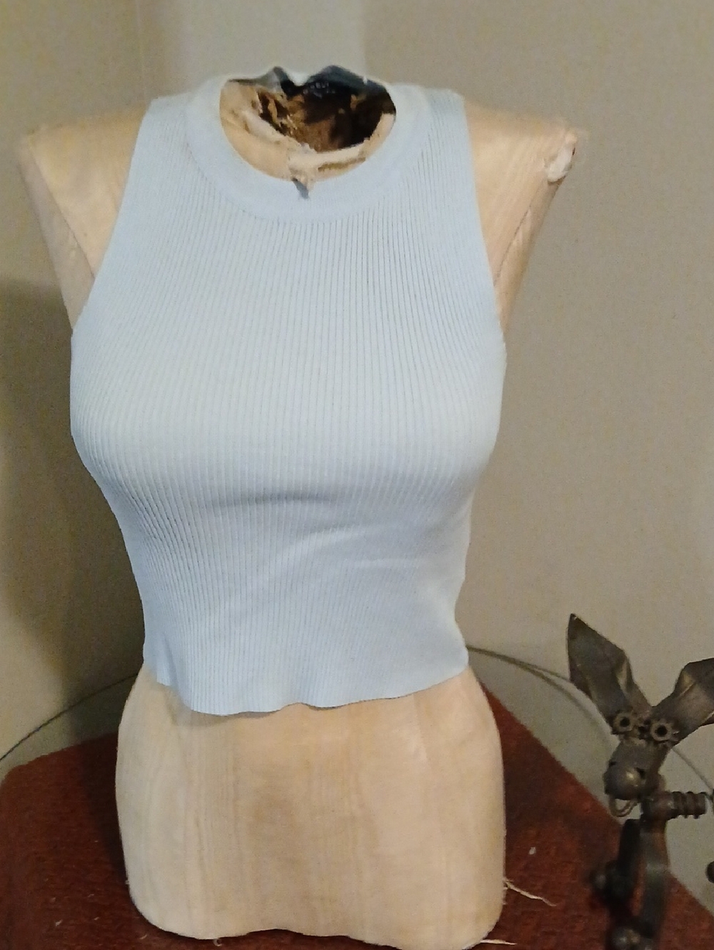 Sincerely Jules Light Blue Ribbed Crop Tank